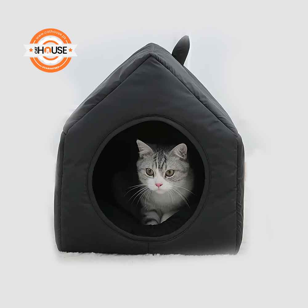 Black Cat House for All Season Comfort