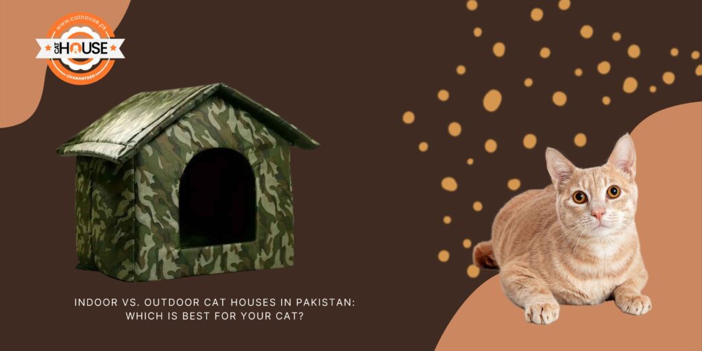 Indoor vs outdoor cat houses in Pakistan
