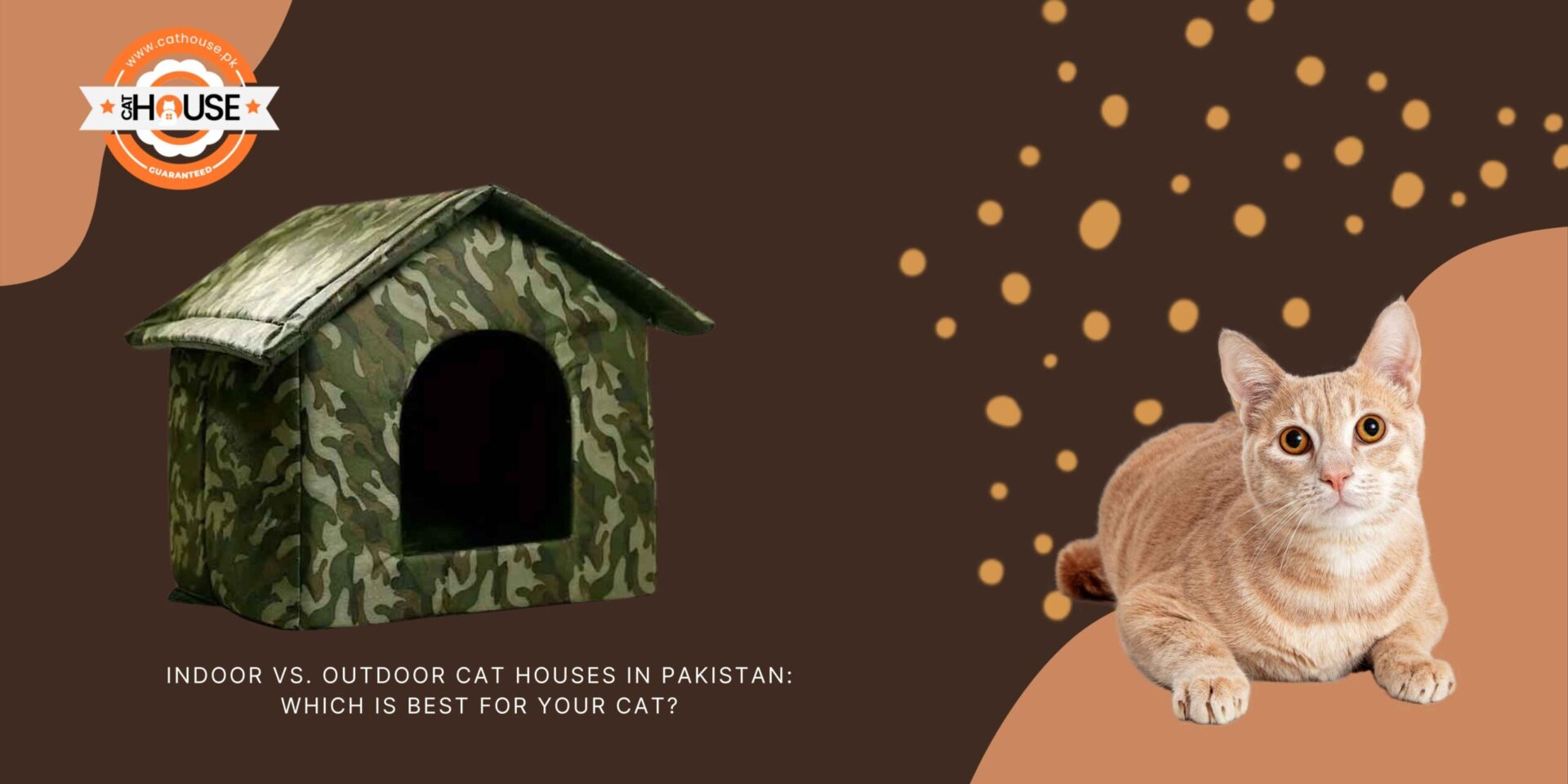 Indoor vs outdoor cat houses in Pakistan