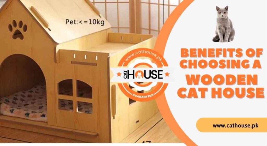Top 10 Benefits of Choosing a Wooden Cat House