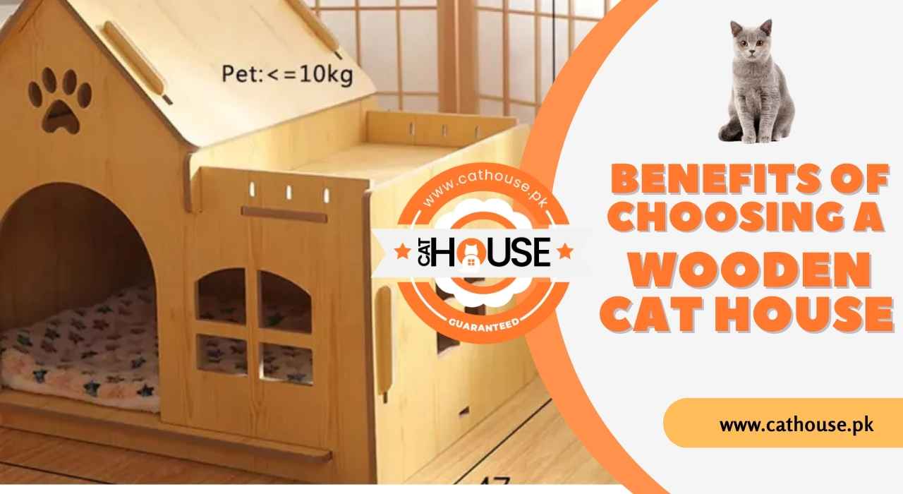 Top 10 Benefits of Choosing a Wooden Cat House