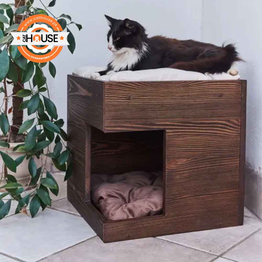 What Is a Wooden Cat House with Dual Resting Spaces