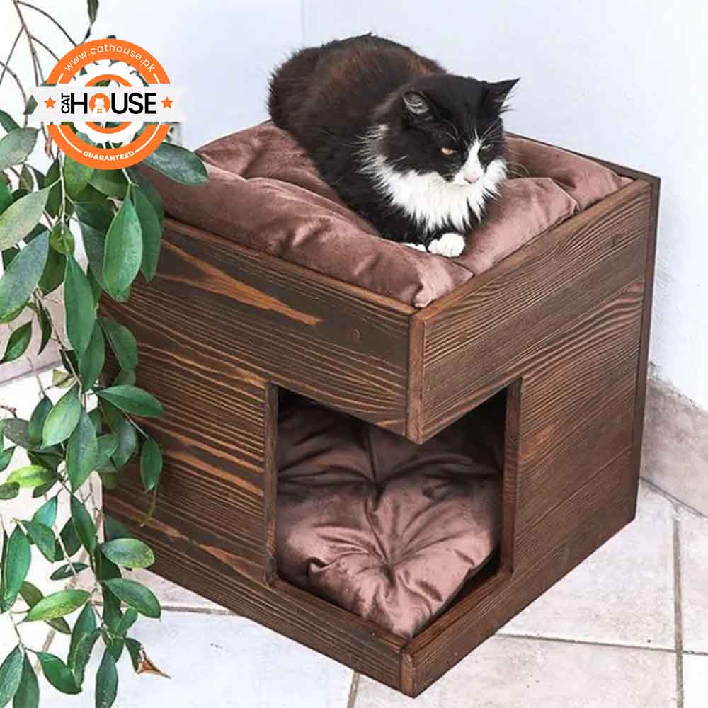 Wooden Cat House with Dual Resting Spaces