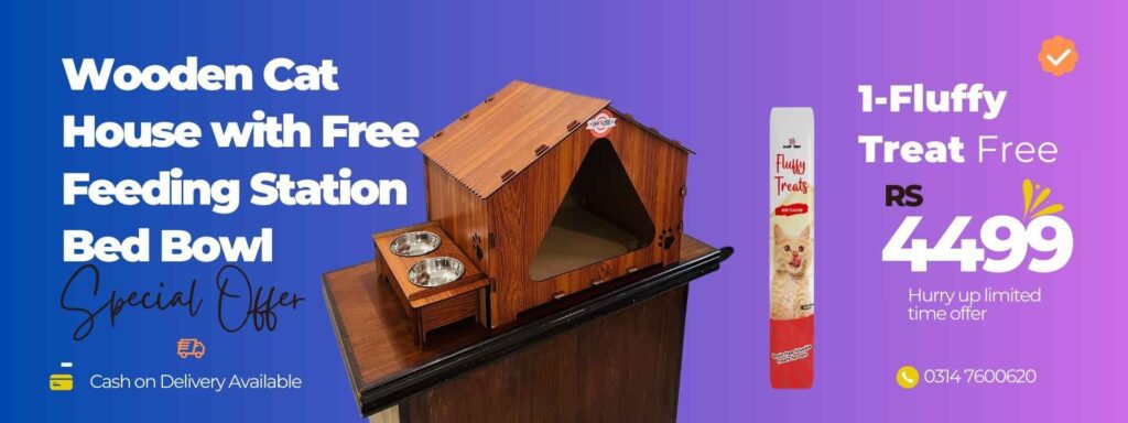 bowel with 1 fluffy treat free