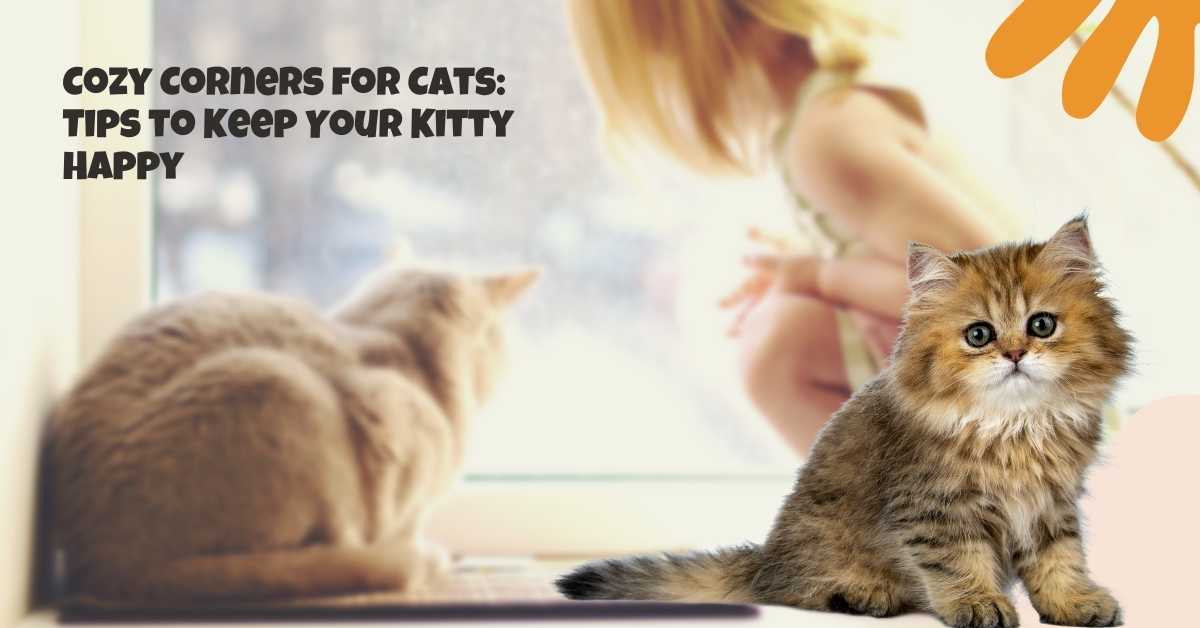 Cats Tips to Keep Your Kitty Happy