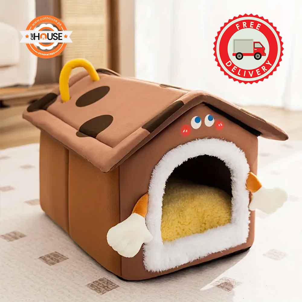 Modern Polypropylene Cat House Cheese Cookie