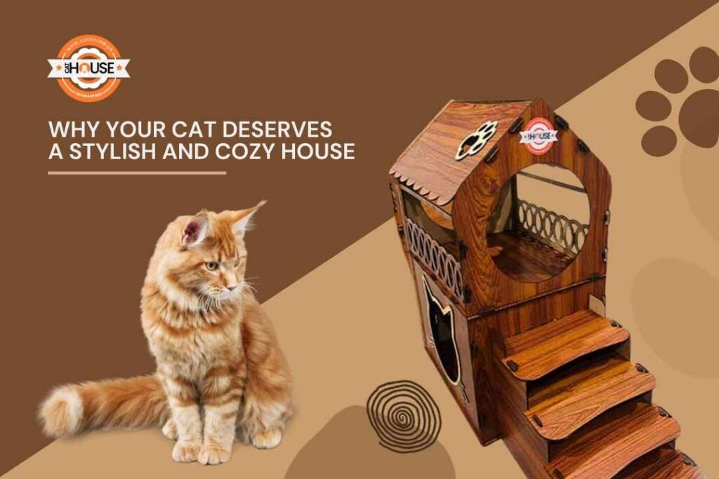 Why Your Cat Deserves a Stylish and Cozy House