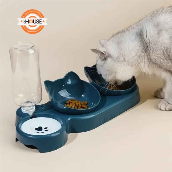 Cat Eating food with Bowl