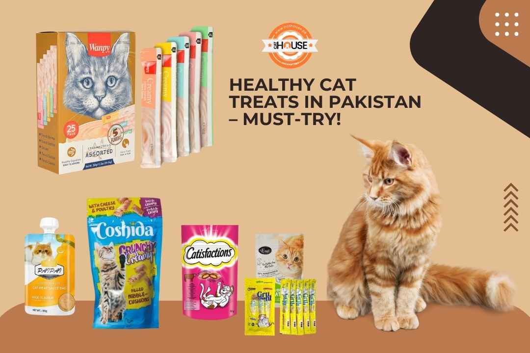 Healthy Cat Treats in Pakistan