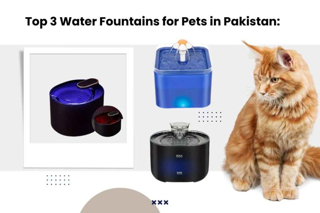 Top 3 Water Fountains